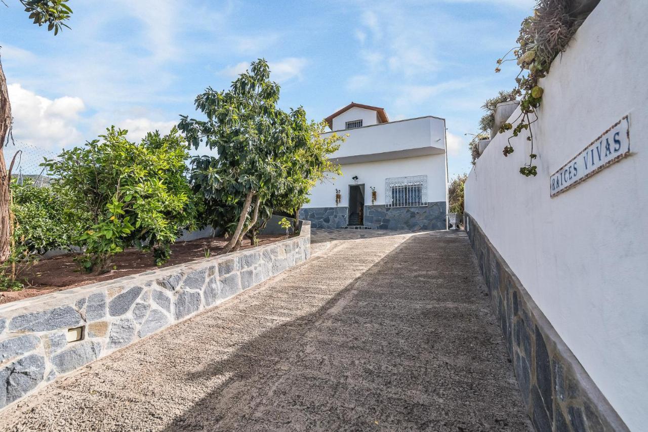 Raices Vivas Vivienda Vacacional Vega de San Mateo Exterior photo